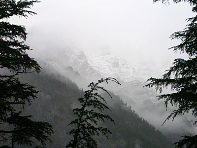 [Looking through an opening between some evergreens, the far hillsides are mostly foggy, but a little bit of snow dusts the rocks of the mountain.]